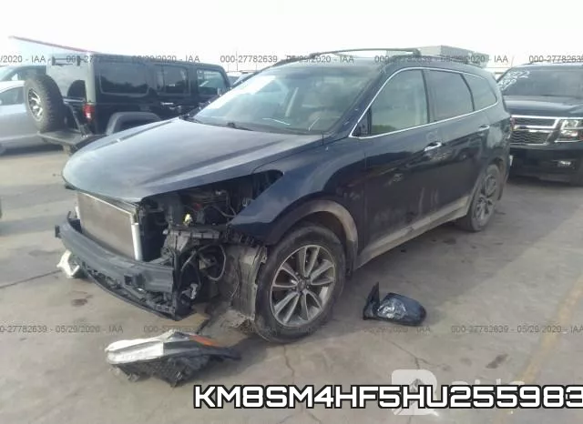 KM8SM4HF5HU255983_2.webp