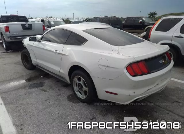 1FA6P8CF5H5312078_3.webp