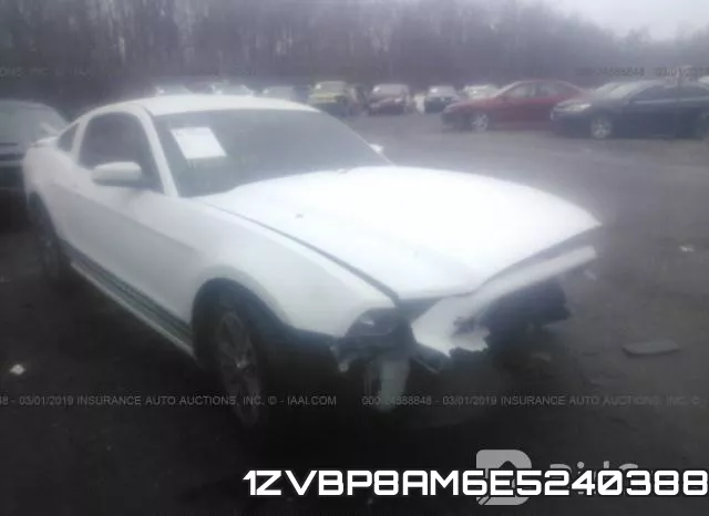 1ZVBP8AM6E5240388