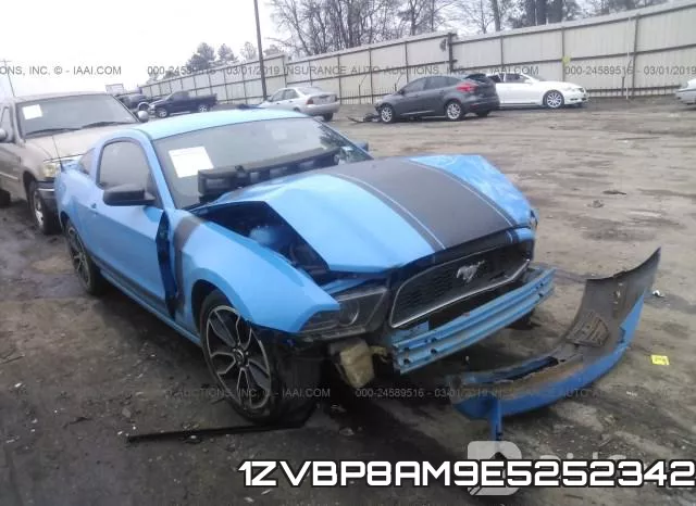 1ZVBP8AM9E5252342