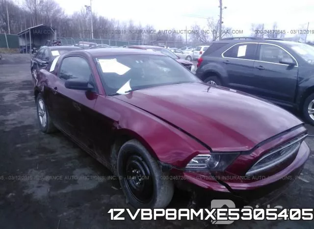 1ZVBP8AMXE5305405