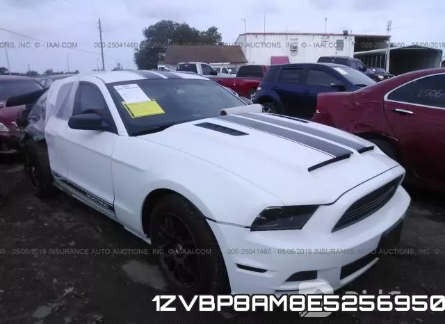 1ZVBP8AM8E5256950