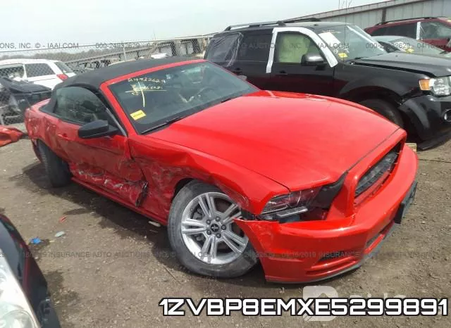 1ZVBP8EMXE5299891
