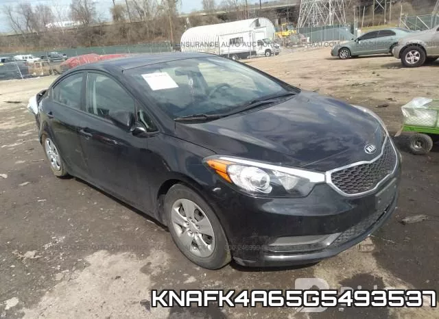 KNAFK4A65G5493537