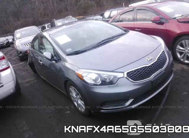 KNAFX4A65G5503808