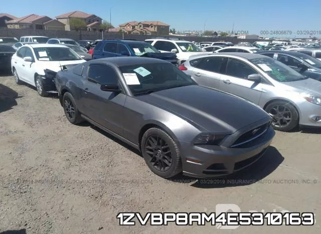 1ZVBP8AM4E5310163