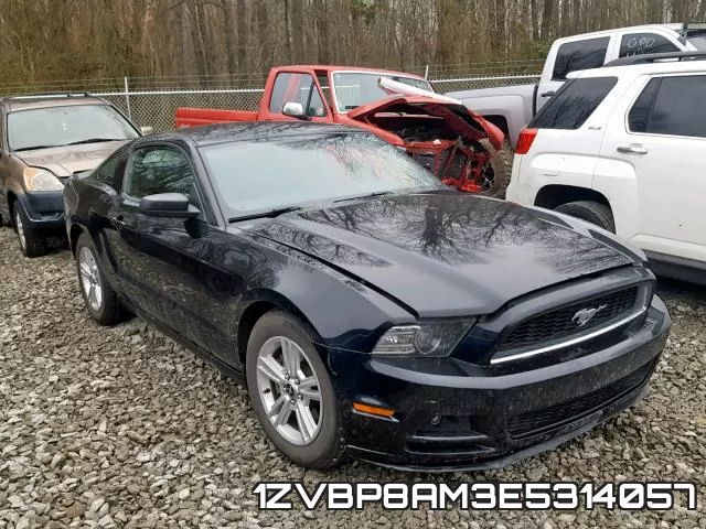 1ZVBP8AM3E5314057