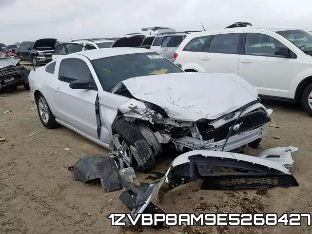 1ZVBP8AM9E5268427