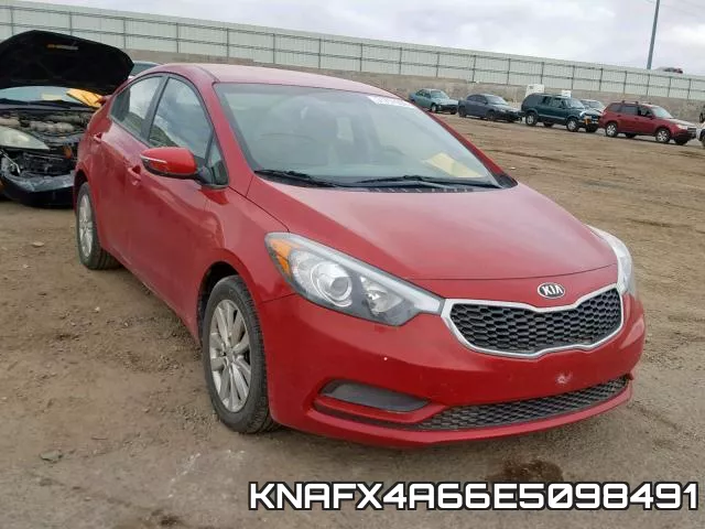 KNAFX4A66E5098491