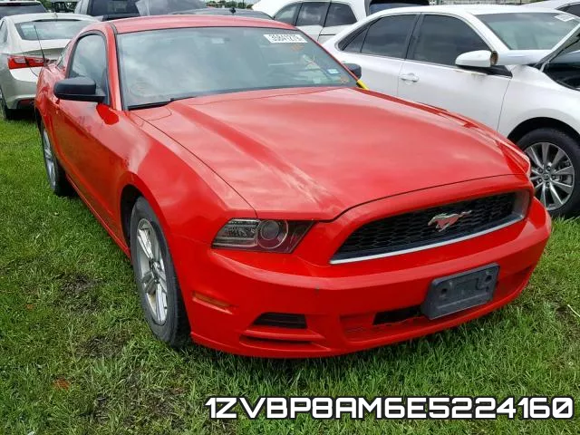 1ZVBP8AM6E5224160