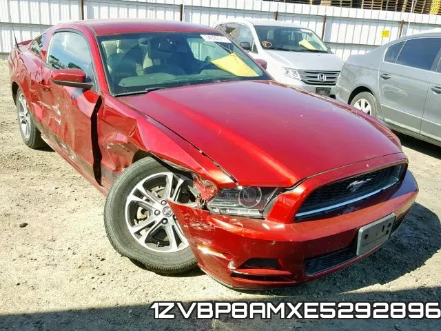1ZVBP8AMXE5292896