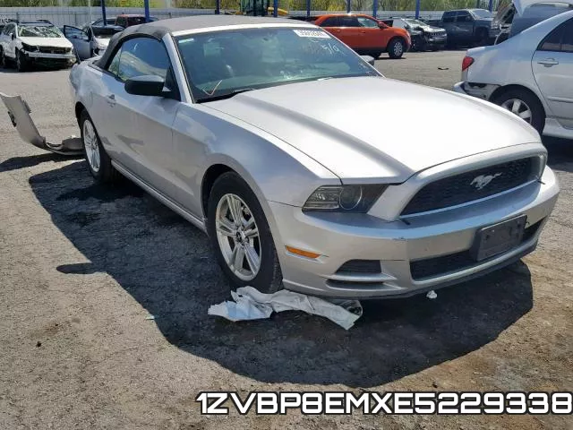 1ZVBP8EMXE5229338