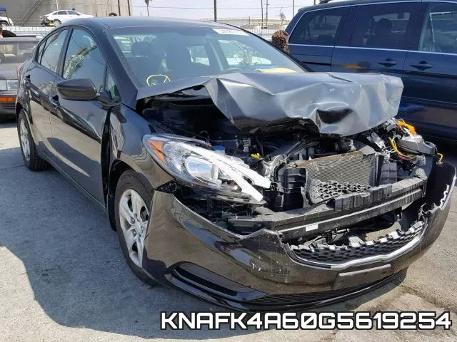 KNAFK4A60G5619254