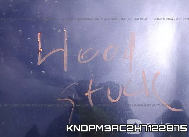KNDPM3AC2H7122875_10.webp