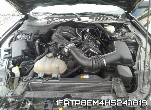 1FATP8EM4H5247819_10.webp