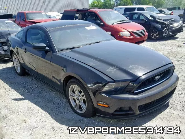 1ZVBP8AM2E5314194