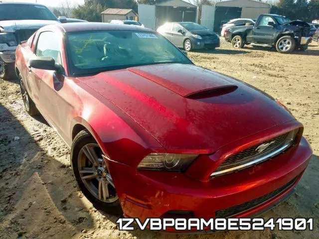 1ZVBP8AM8E5241901