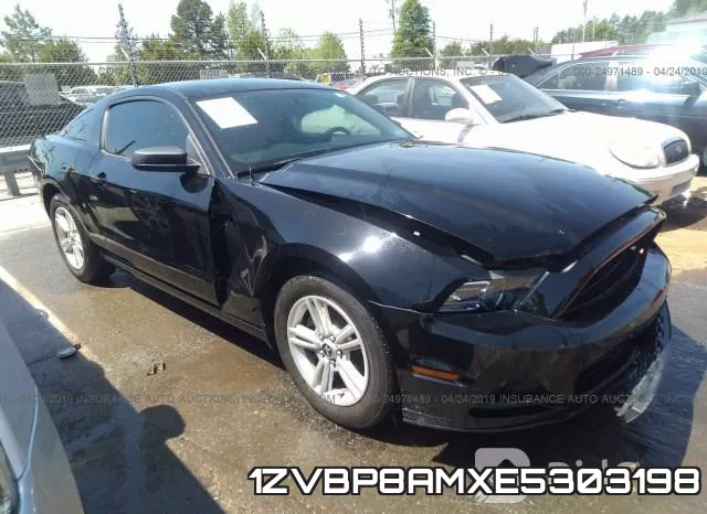 1ZVBP8AMXE5303198