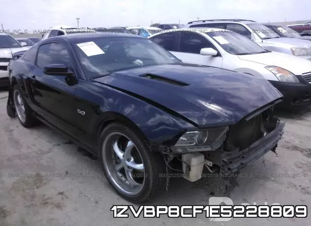 1ZVBP8CF1E5228809