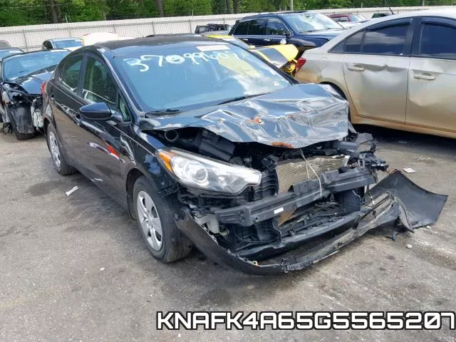 KNAFK4A65G5565207