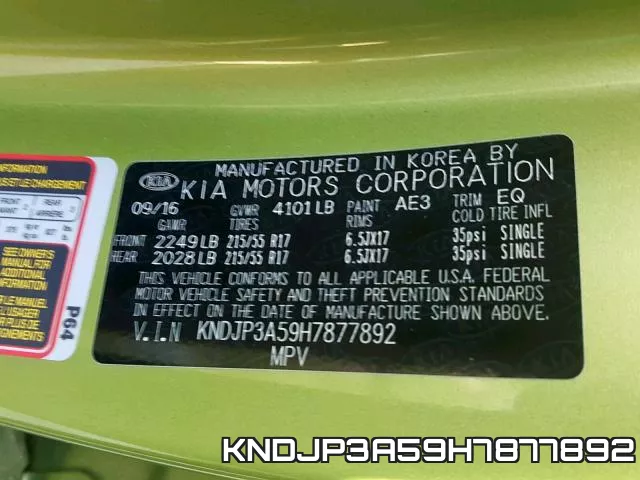 KNDJP3A59H7877892_10.webp