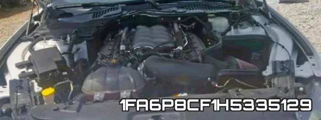 1FA6P8CF1H5335129_7.webp