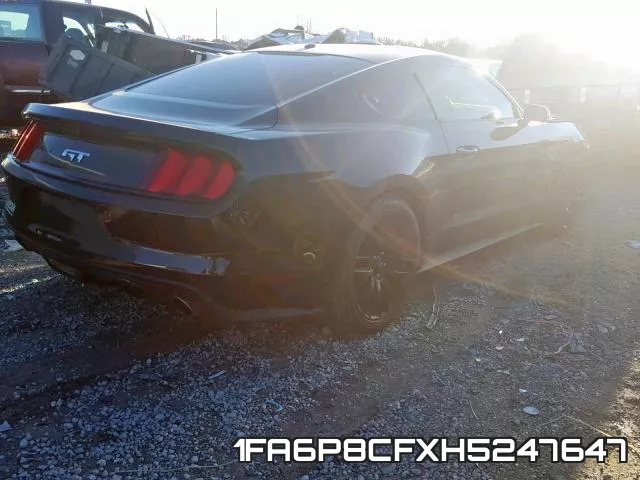 1FA6P8CFXH5247647_4.webp