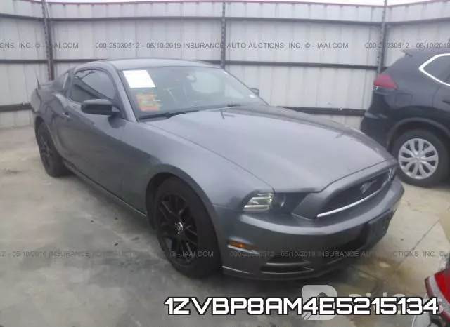 1ZVBP8AM4E5215134