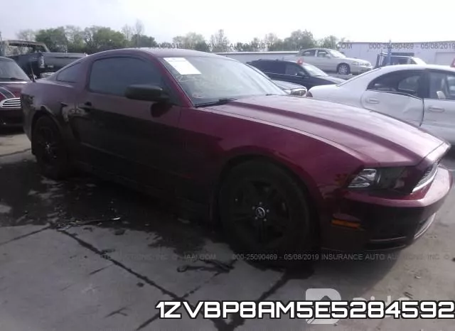 1ZVBP8AM5E5284592