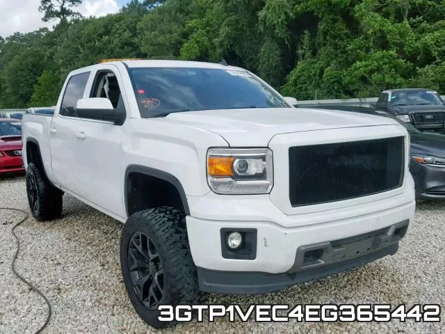 3GTP1VEC4EG365442