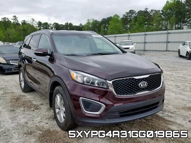 5XYPG4A31GG019865