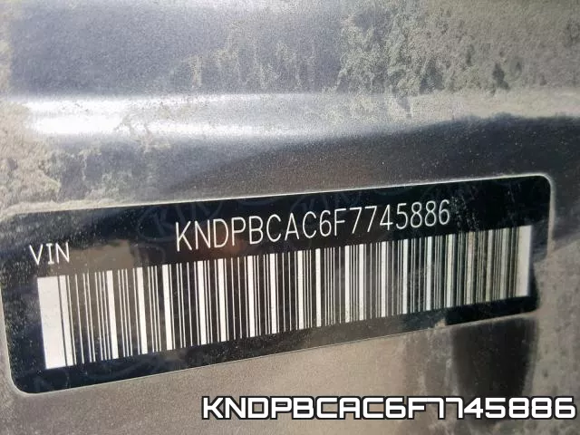 KNDPBCAC6F7745886_10.webp